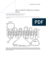 Mutational Analysis of Glut1 Slc2a1 in Glut1 Deficiency Syndrome 2000