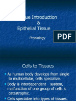 Tissue Introduction & Epithelial Tissue: Physiology