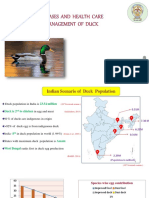 Disease and Health Care Management On Duck