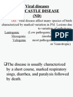 Viral Diseases Newcastle Disease (ND)