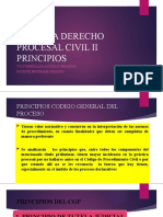 Principios Del Derecho Procesal