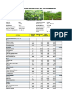 HUANCOY Costo de Produccion Por Hectarea Del Cultivo de Palto