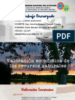 Resumen Valoración Económica de Los Recursos Naturales