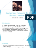 Anatomía y Fisiología Del Sistema Nervioso