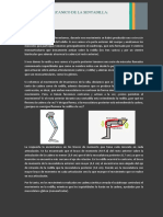 Analisis Biomecanico de La Sentadilla