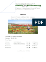 AMRAOUI Mohamed PDF