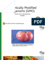 Genetically Modified Organisms (GMO) : Ethical Issues in Bioengineering Kplimbo