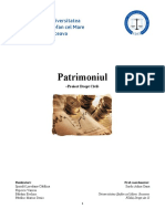 Patrimoniul Proiect Drept Civil