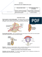 Endocrine Syatem