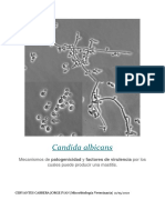 Candida Albicans JICC AQV2