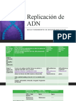 3 Replicación de ADN. Grupo2