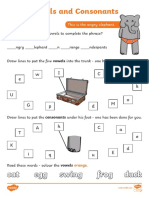 Vowels and Consonants Activity