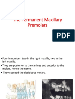 The Permanent Maxillary Premolars