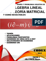 1P. Lineal - Paye PDF