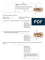 Practice Problems: Sex Linked Genes: X X X Y X X X X X Y