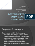 Fotoreseptor Pada Hewan Vertebrata