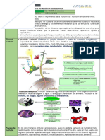 Los Procesos de Nutrición en Los Seres Vivos 2do PDF