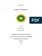 MATERI ZOOLOGI INVERTEBRATA Natalia Anisa (1901040030) PDF