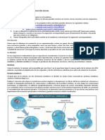 La División Celular en La Reproducción Sexual - Lectura y Actividad