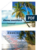 Cocos Nucifera