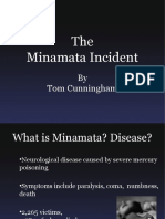 The Minamata Incident: by Tom Cunningham