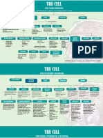 THE CELL Concept Map