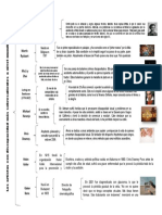 Cuadro Sinoptico de Artistas Con Discapacidad