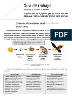 CIENCIASsemanas 3 y 4