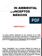 Ambiental Interciclo