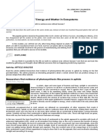 Science 9: Researchers Find Evidence of Photosynthesis-Like Process in Aphids