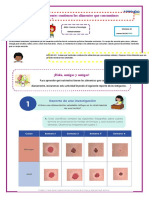 Actividad Tercer Grado Dia 4 Semana 30