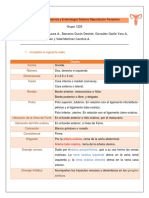 Grupo 1225. Cuestionario de Anatomía y Embriología Del Sistema Reproductor Femenino PDF