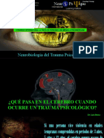 Neurobiologia Del Trauma Psicologico 12