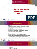 Analisis y Matriz EFI