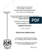 Simulacíon Dinámica Empleando El Simulador Olga (Tesis)