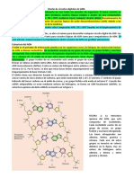 Diseño de Circuitos Digitales de ADN