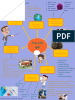 Infografia de La Brucella SPP