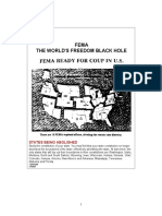 UN-FEMA Camps in America