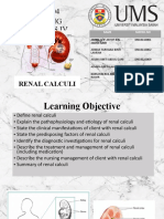 Renal Calculi (NS Presentation)