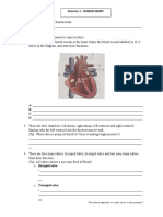 C1-Human Heart