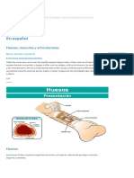 Huesos, Músculos y Articulaciones