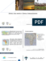 Proec PPM2019 Perfil Del Consumidor Africano