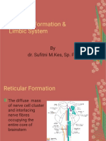 K 1 2 Formatio Reticularis & Sistem Limbik