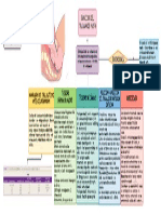 Inducción Del Trabajo de Parto