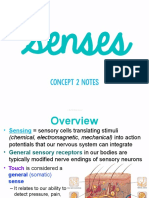 Concept 2 Notes - Senses For Students