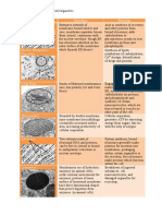 Cell Organelles Structure & Function