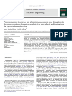 Phosphomannose Isomerase and Phosphomannomutase Gene Disruptions in