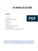 Guia de Musculacion