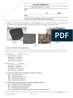 Ficha Trabalho - Rochas Magmáticas