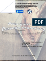 Principios Derecho Probatorio